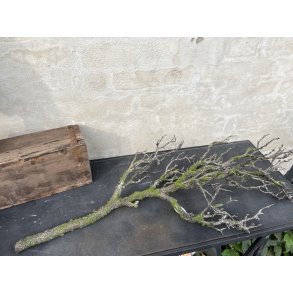 La Vida, Kunstig gren, L80 cm