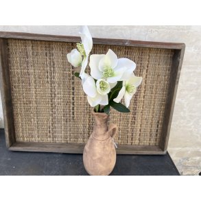 DEKO FLORALE, Helleborus gren, cream