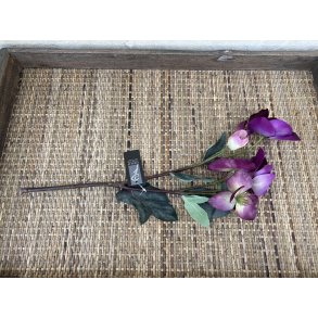 DEKO FLORALE, Helleborus gren, lilla