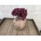 DEKO FLORALE, Gypso, buket med 10 stilke, 29 cm, rd