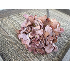 DEKO FLORALE, Kunstig hortensia, 48 cm, rust rd