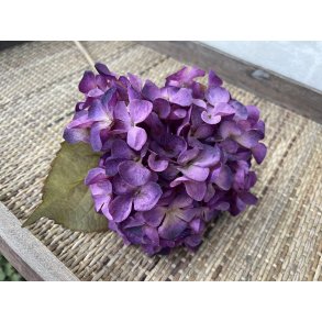 DEKO FLORALE, Kunstig hortensia, 45 cm, Lilla