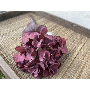 DEKO FLORALE, Kunstig hortensia, 48 cm, rd