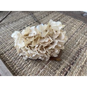DEKO FLORALE, Hortensia (efterr), 34 cm., Cream