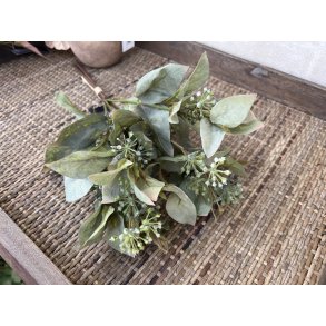 DEKO FLORALE, Kunstige eucalyptus gren med blade, 37 cm, grn