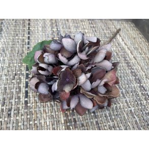 DEKO FLORALE, Hortensia (efterr), 34 cm., brunlig