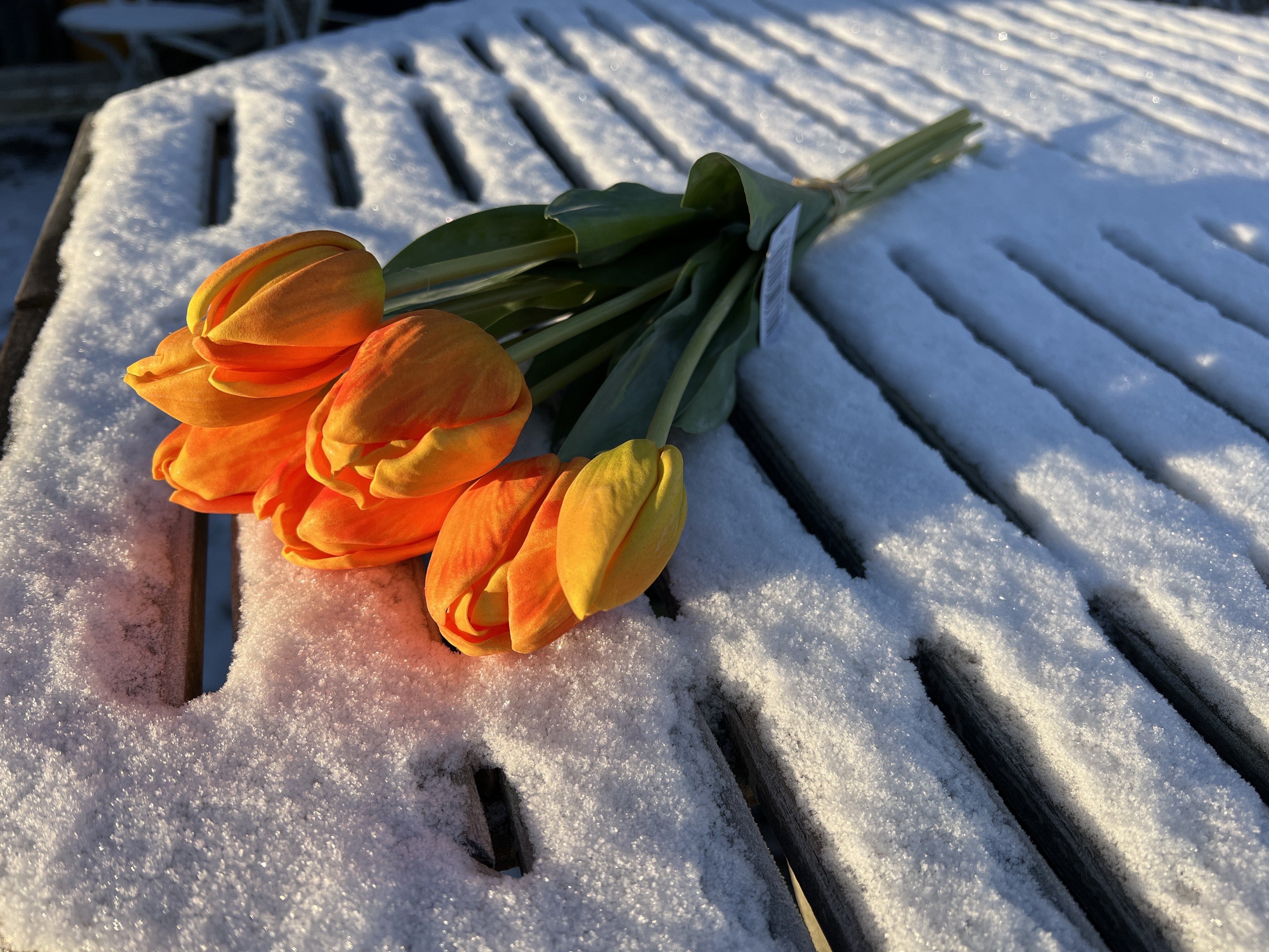 Barbara, Tulipaner, orange, 46 cm