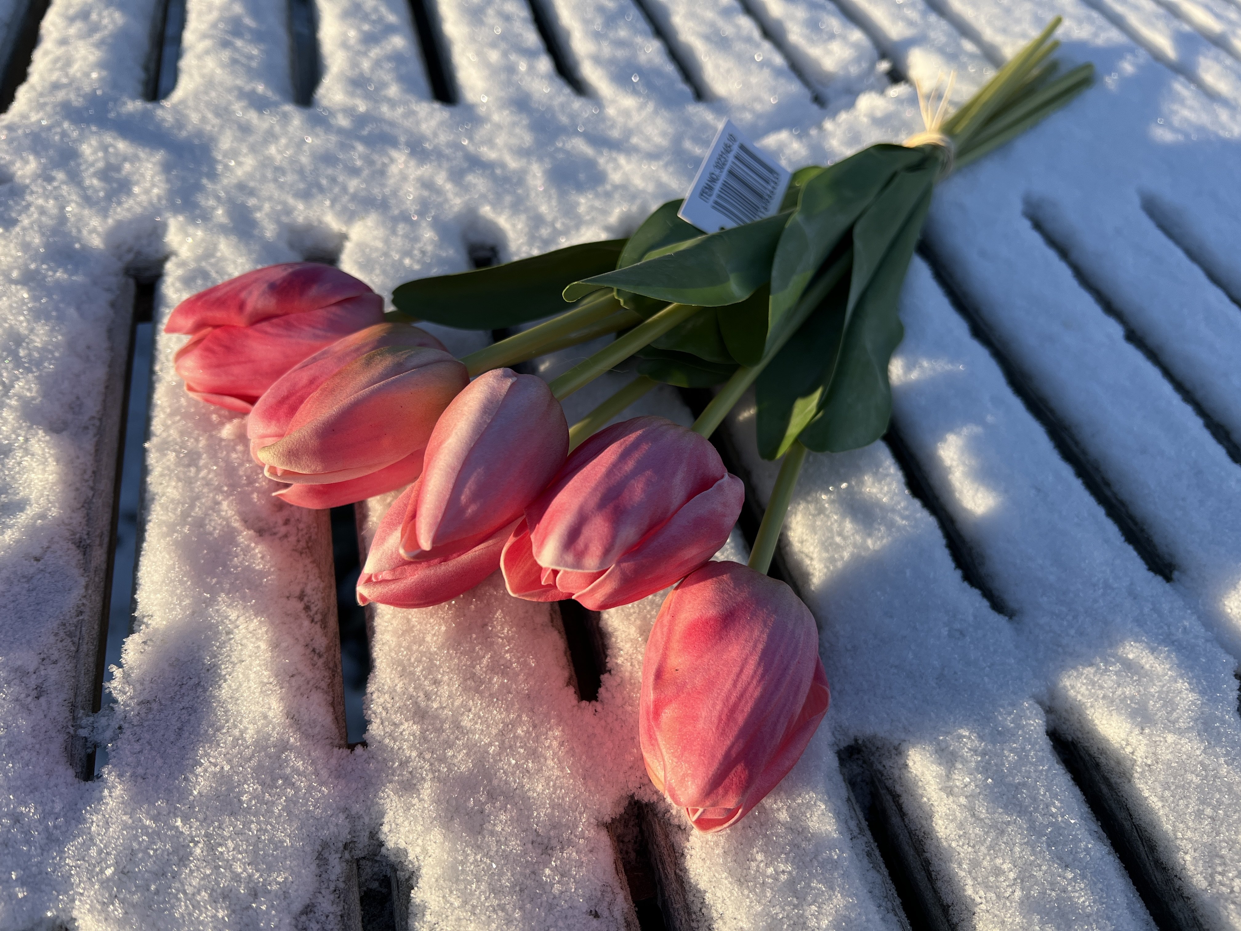 Barbara, Tulipaner, Rosa, 46 cm