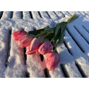 Barbara, Tulipaner, Rosa, 46 cm