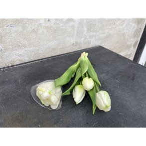 DEKO FLORALE, Kunstig tulipan bundt (naturtro), 4 stk., 23 cm, hvid/grn