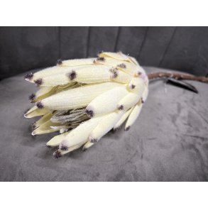 DEKO FLORALE, Kunstigt Protea cynaroides, 52 cm, cream