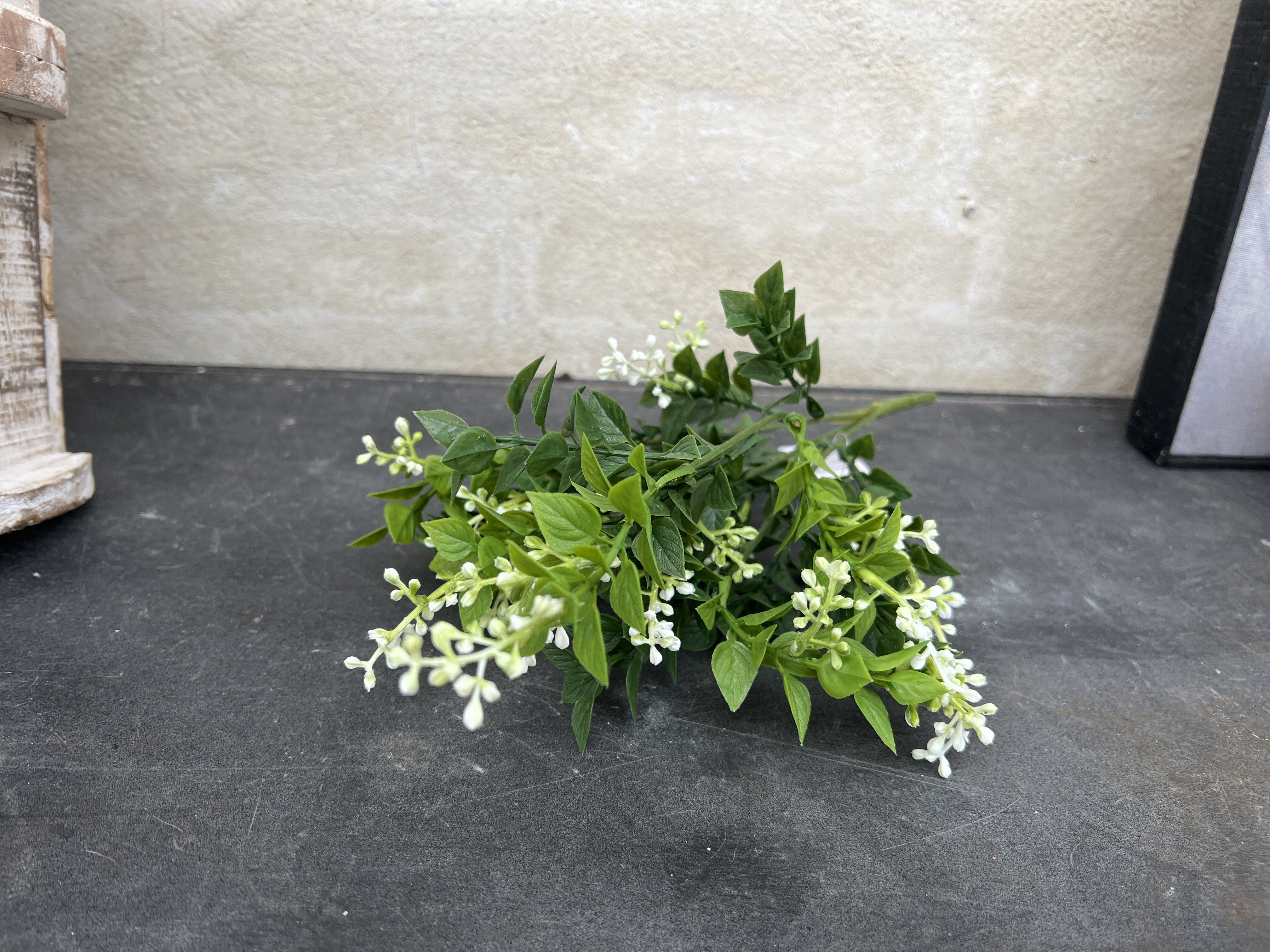 Barbara, Busk med hvide blomster, hvid, 30 cm