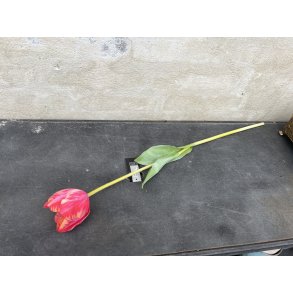 DEKO FLORALE, Kunstig tulipan (naturtro), 63 cm, rd