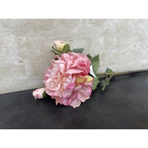 DEKO FLORALE, Kunstig pon, 60 cm., lyserd