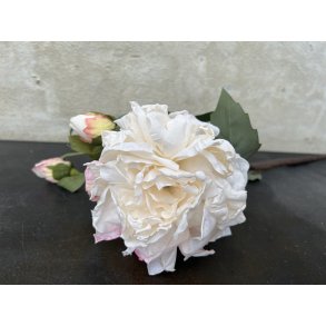 DEKO FLORALE, Kunstig pon, 60 cm., cream