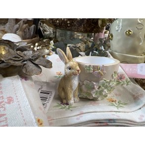 La Vida, Kanin med lille skjuler