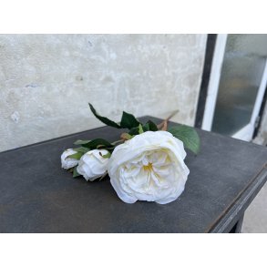 Chic Antique, Fleur Rose, H58 cm, hvid