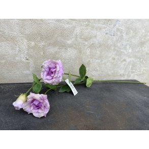 DEKO FLORALE, Kunstig Lisianthus , 71 cm, real touch