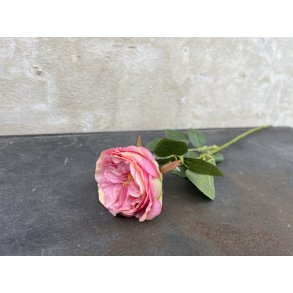 DEKO FLORALE, Rosengren, 58 cm, pink