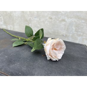 DEKO FLORALE, Rosengren, 58 cm, lyserd