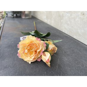 Chic Antique, Fleur Rose, H50 cm., honning