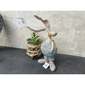 Speedtsberg, Kanin med bukser