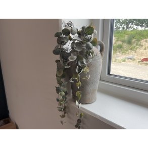 DEKO FLORALE, Eucalyptus, hngegrnt, 61cm, 