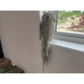 DEKO FLORALE, Kunstig hngegrnt, 107 cm