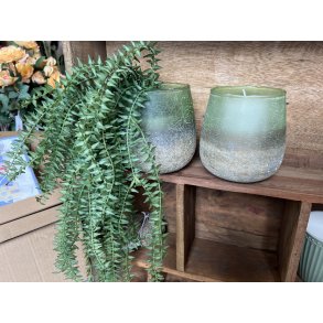 La Vida, Hurricane, grn/gr glas