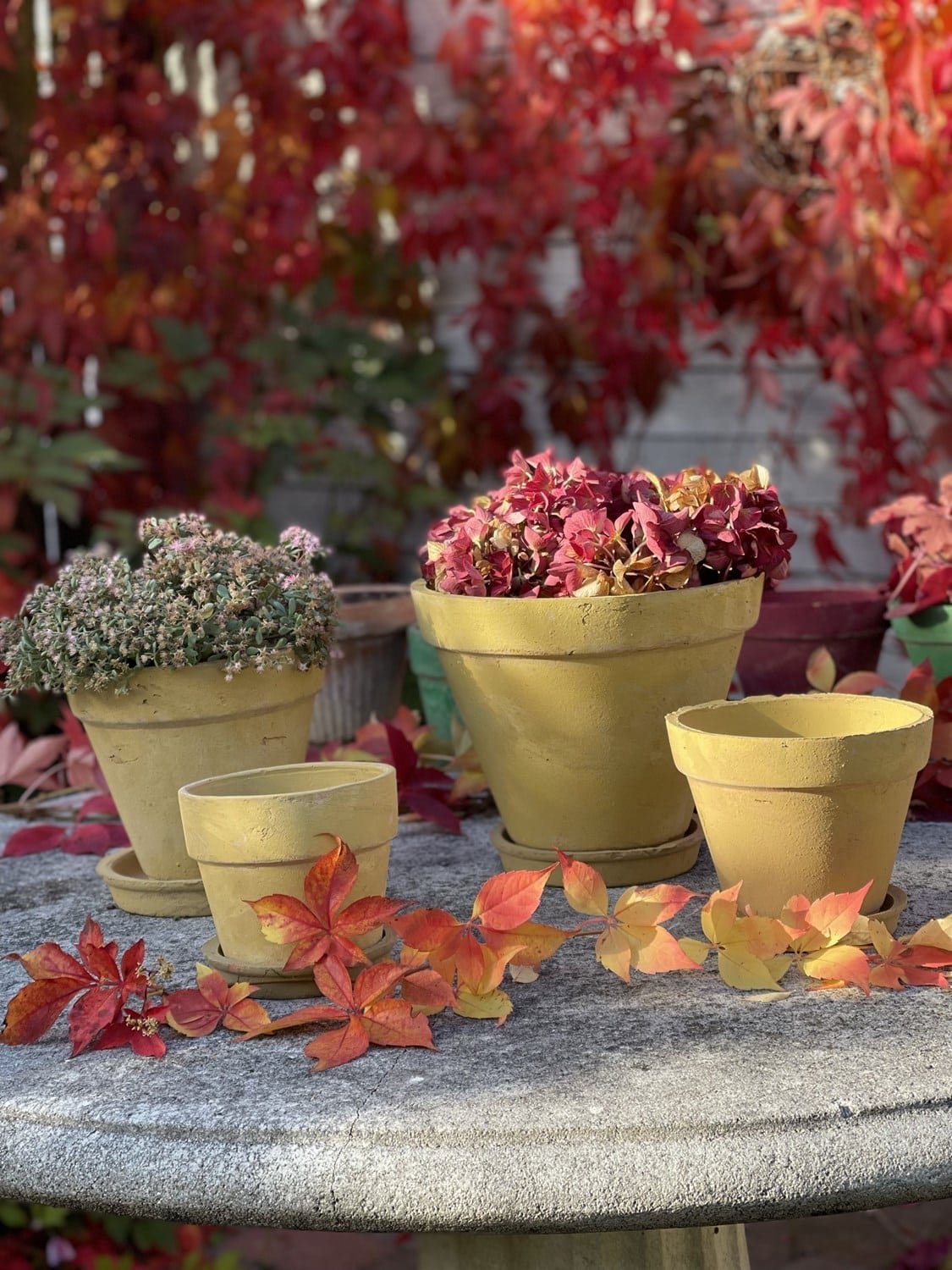 POT OL�, Potte, La Plage, Yellow