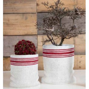 La Vida,Skjuler, skkelrred look